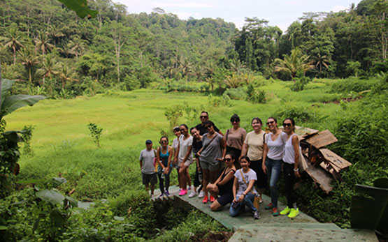 jungle retreat ubud